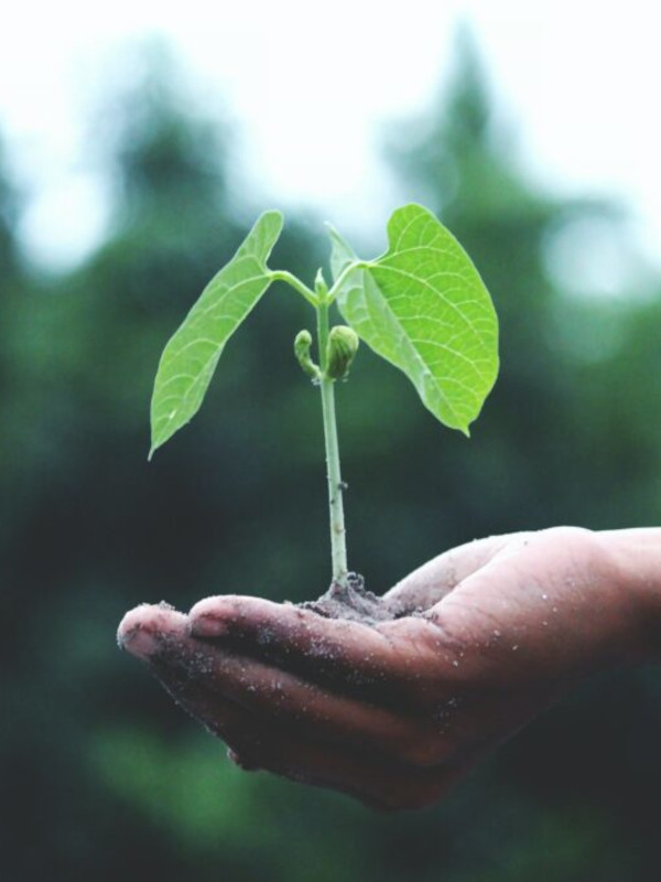 Trendreport Ernährung 2023