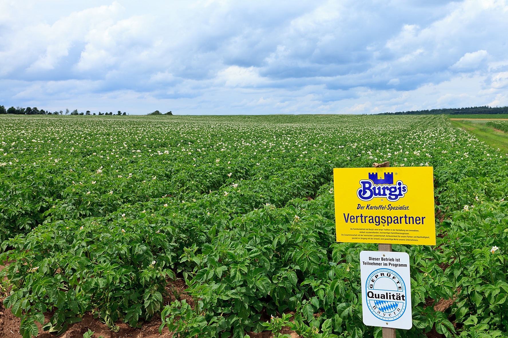 Kartoffelfeld Vertragspartner