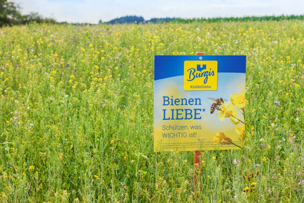 Dass Burgis sich Bienen retten zur Aufgabe gemacht hat, zeigt Burgis mit Schildern mit dem Aufdruck Bienenliebe auf all seine Blühstreifen, die als Futterquelle dienen.