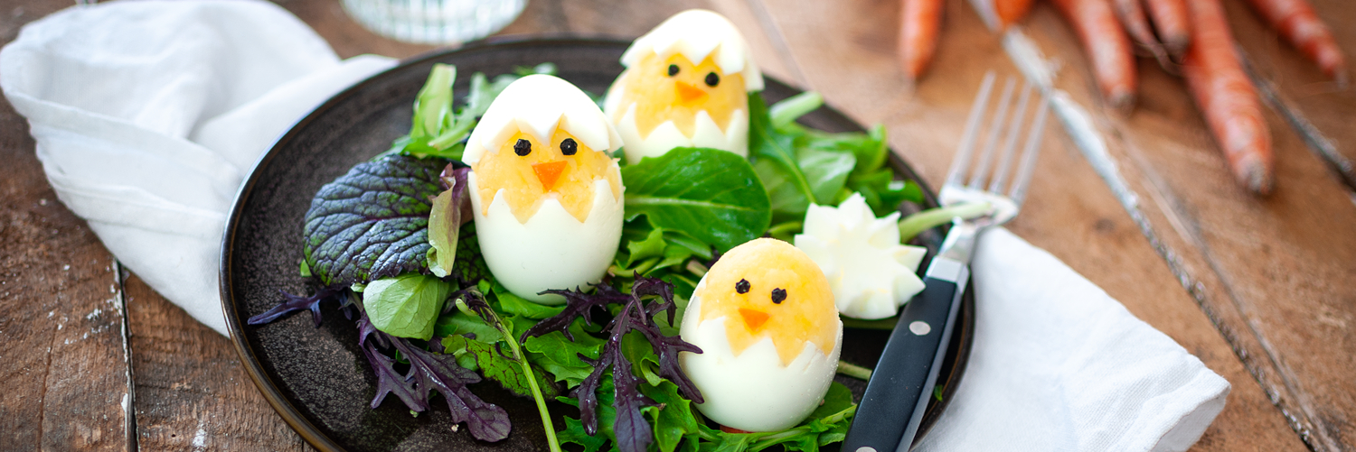 Knödelinos®-Küken