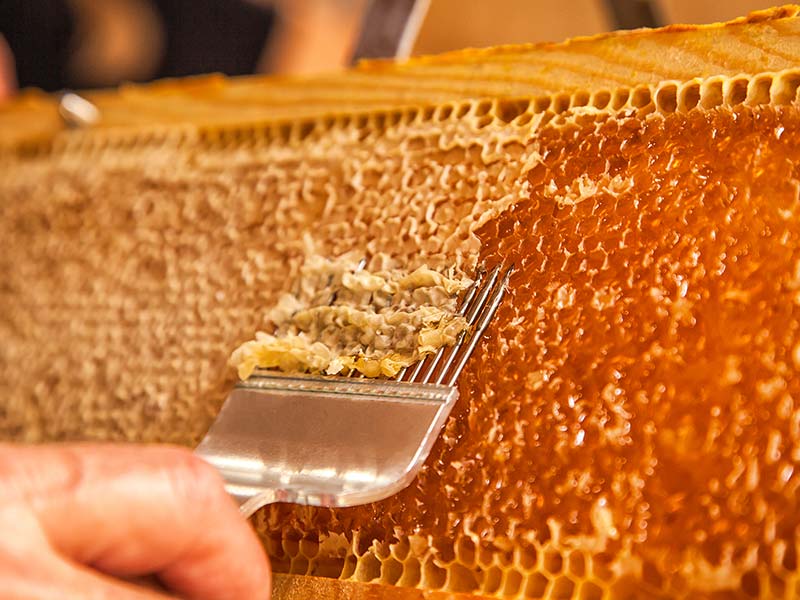 Honig wird hergestellt