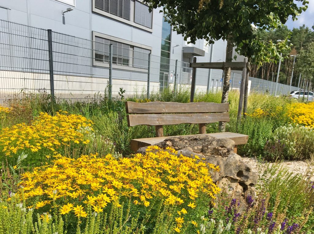 Nahrungsangebot für Insekten