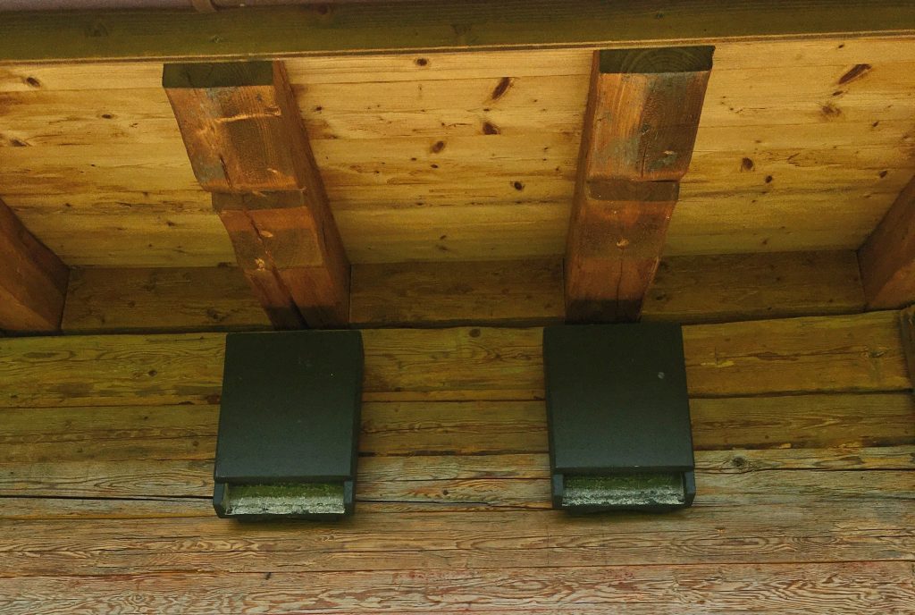 Lebensraum für Bienen