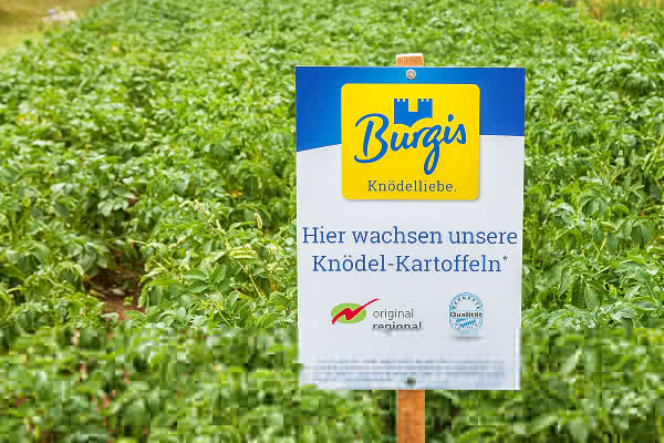 Vertragsanbau - Kartoffel-Anbau bei Burgis