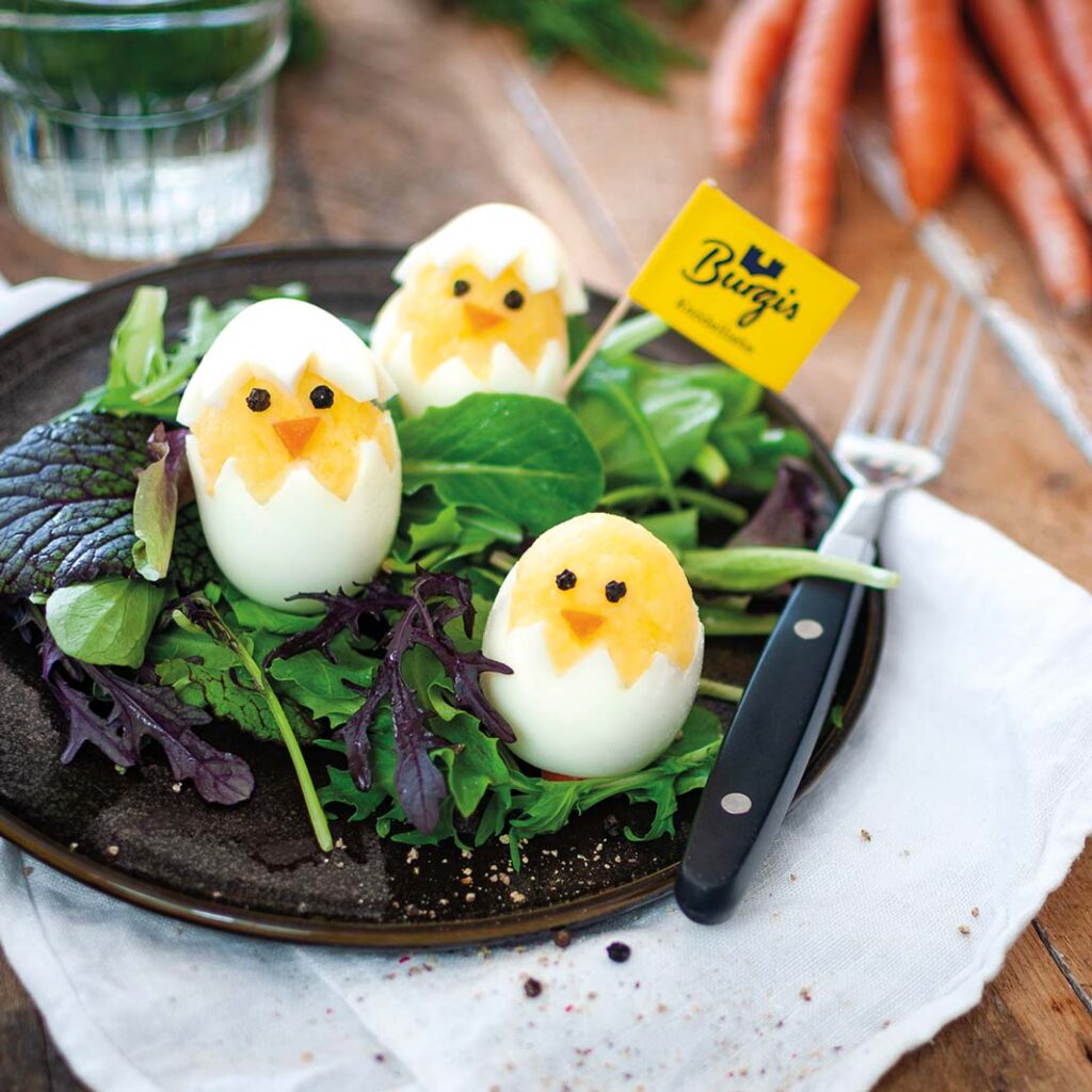 Knödelino-Küken von Burgis