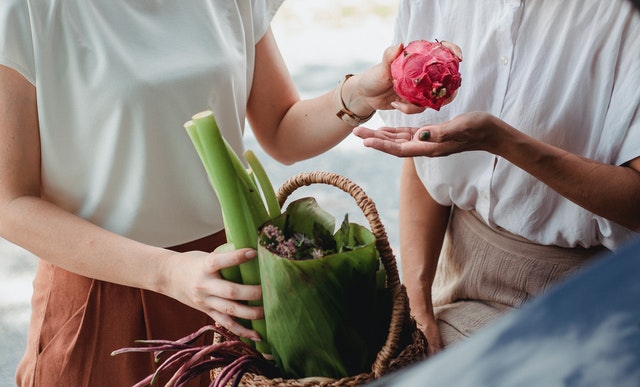 Pflanzliche Ernährung ist gesund